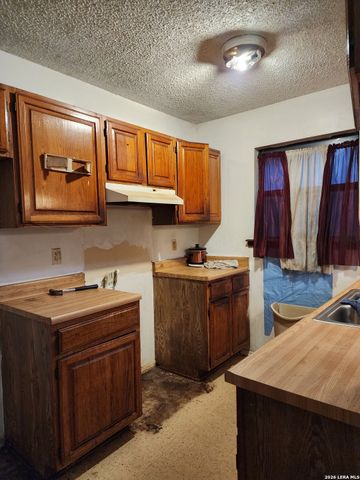 313 BEE ST, San Antonio, TX 78208