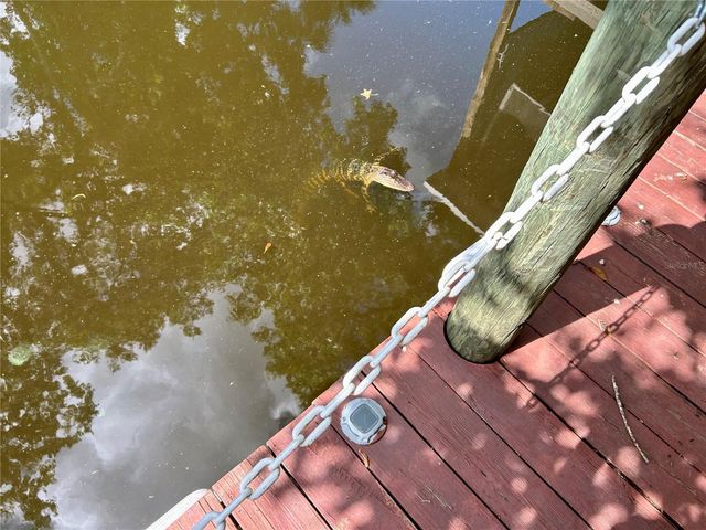 25646 BASS ROAD, Astor, FL 32102