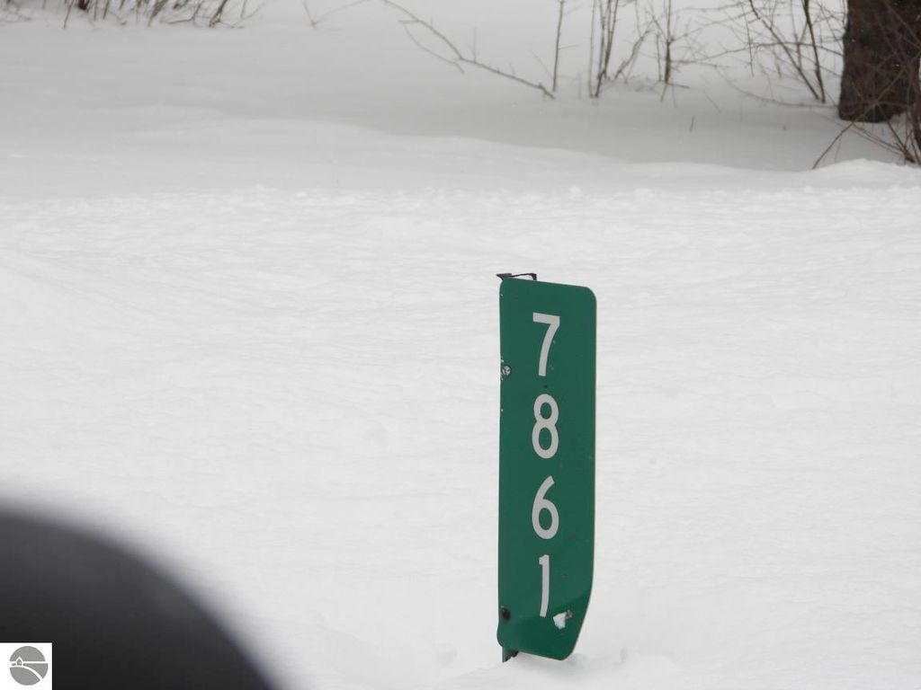 Image 12 of property listing at 7861 N Bass Lake Road, Irons, MI 49644