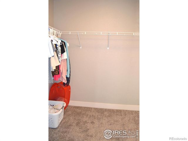 115 Anders Court, Loveland, CO 80537