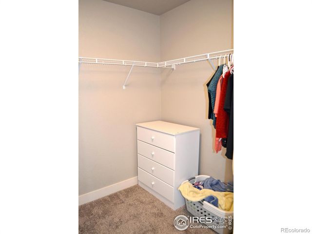 115 Anders Court, Loveland, CO 80537