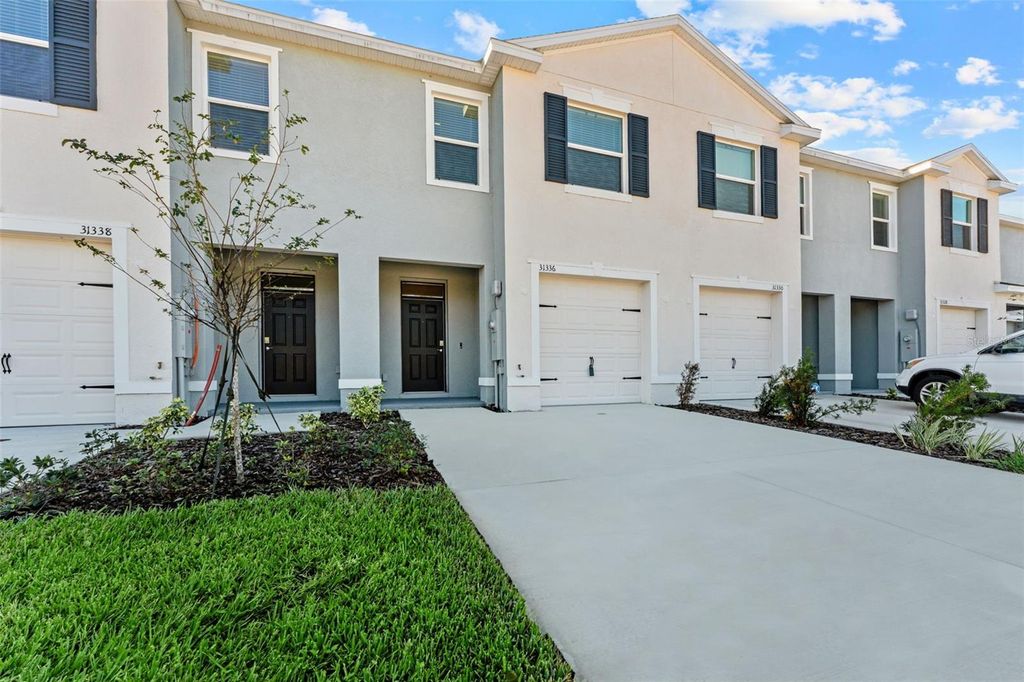 31336 PAPER BIRCH STREET, Wesley Chapel, FL 33545