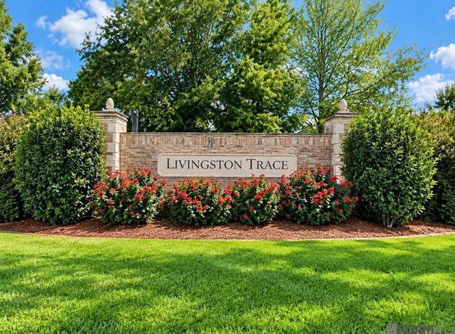 26436 Feliciana Ave, Denham Springs, LA 70726