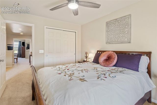 6034 Sierra Grande Point, Colorado Springs, CO 80923