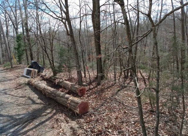 1170 Ella Dr, Ashland City, TN 37015