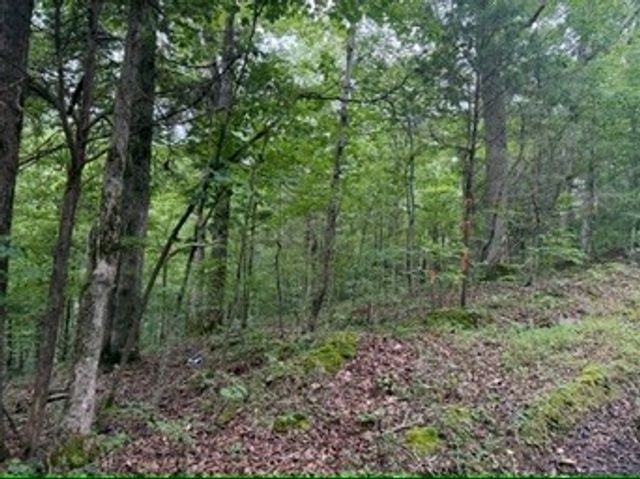 1170 Ella Dr, Ashland City, TN 37015
