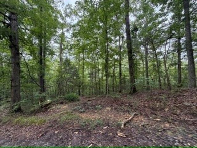 1170 Ella Dr, Ashland City, TN 37015