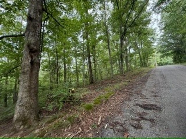 1170 Ella Dr, Ashland City, TN 37015