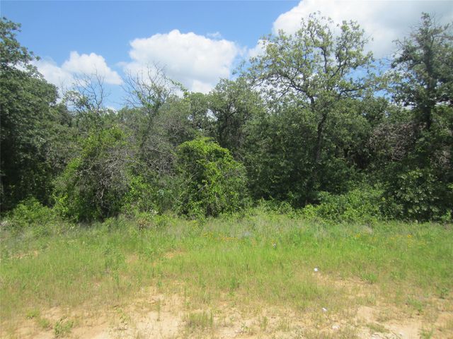 625 Dana Court, Tolar, TX 76476