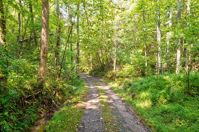 21 AC Charles Road, Ellijay, GA 30540