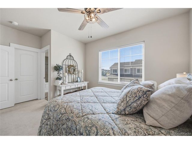 2162 Montauk Ln 3, Windsor, CO 80550