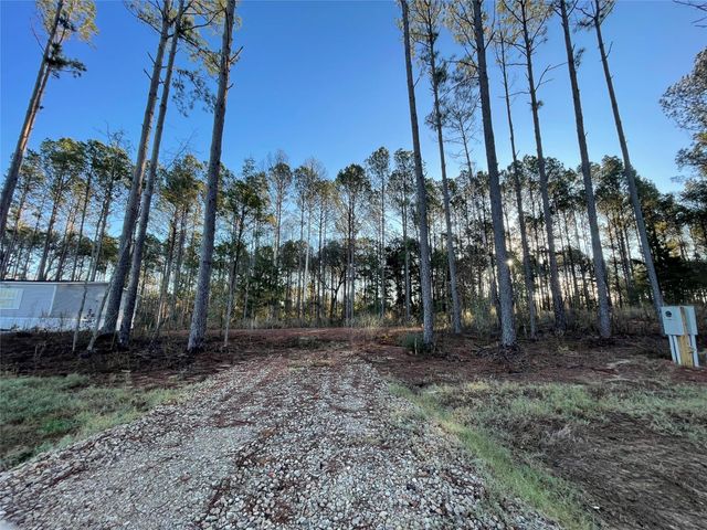 11362 Annie Creek Drive, Willis, TX 77378