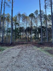 11362 Annie Creek Drive, Willis, TX 77378