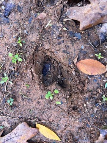 2614 & 2638 Madison 6330, Wesley, AR 72773