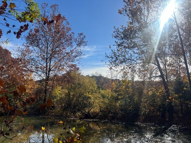 2614 & 2638 Madison 6330, Wesley, AR 72773