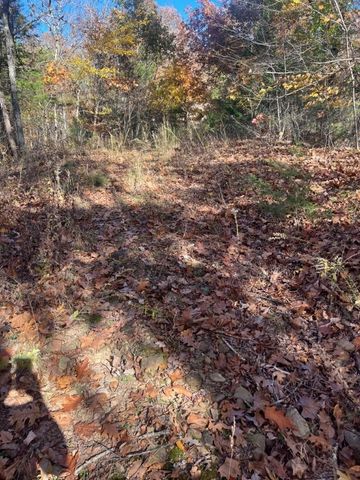 2614 & 2638 Madison 6330, Wesley, AR 72773