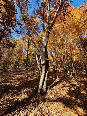 2614 & 2638 Madison 6330, Wesley, AR 72773