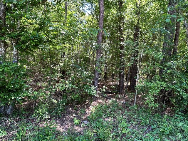 0 Redwood Lane, Montgomery, TX 77356