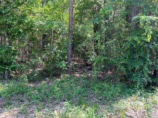 0 Redwood Lane, Montgomery, TX 77356