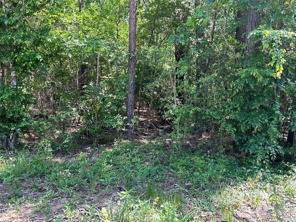 0 Redwood Lane, Montgomery, TX 77356