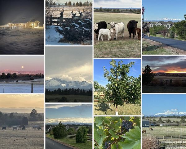 1489 E Rim Road, Franktown, CO 80116