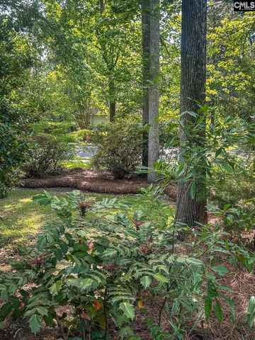133 Tarrar Springs Road, Lexington, SC 29072