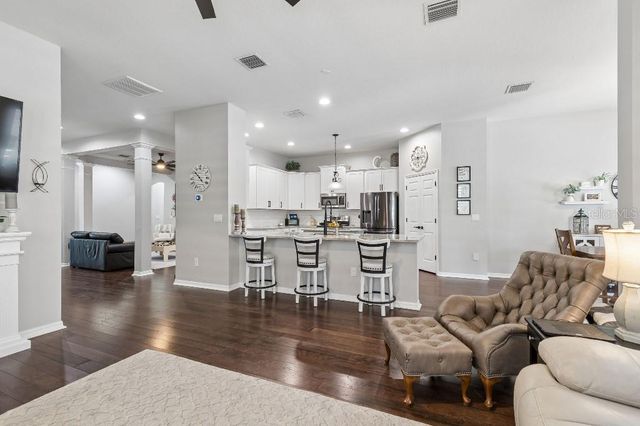 20537 LACE CASCADE ROAD, Land O Lakes, FL 34637