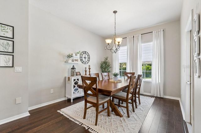 20537 LACE CASCADE ROAD, Land O Lakes, FL 34637