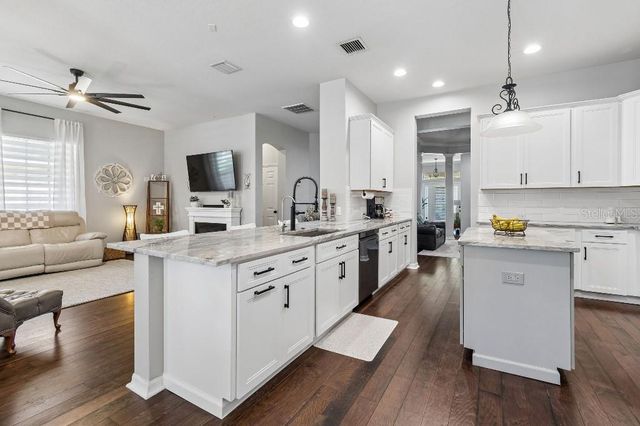 20537 LACE CASCADE ROAD, Land O Lakes, FL 34637