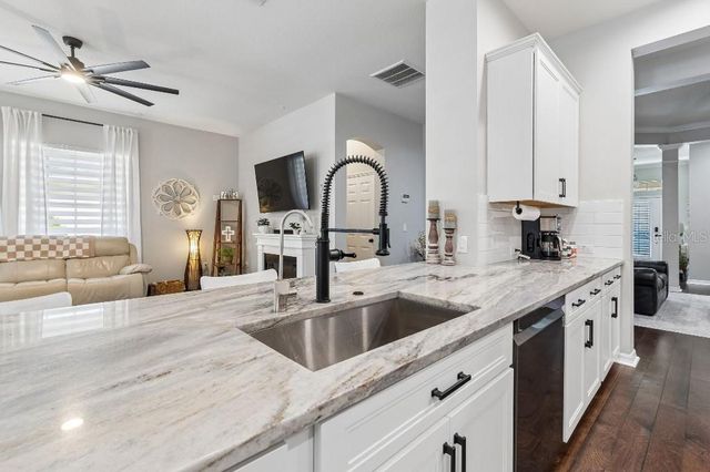 20537 LACE CASCADE ROAD, Land O Lakes, FL 34637