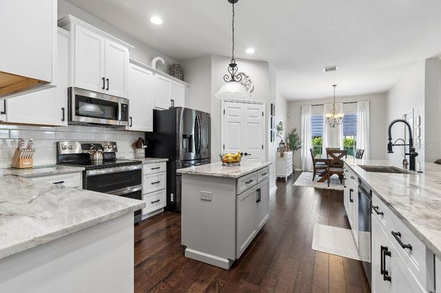 20537 LACE CASCADE ROAD, Land O Lakes, FL 34637