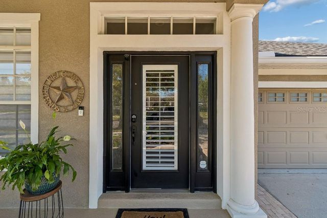 20537 LACE CASCADE ROAD, Land O Lakes, FL 34637