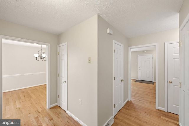 812 APPLESEED CT, Winchester, VA 22601