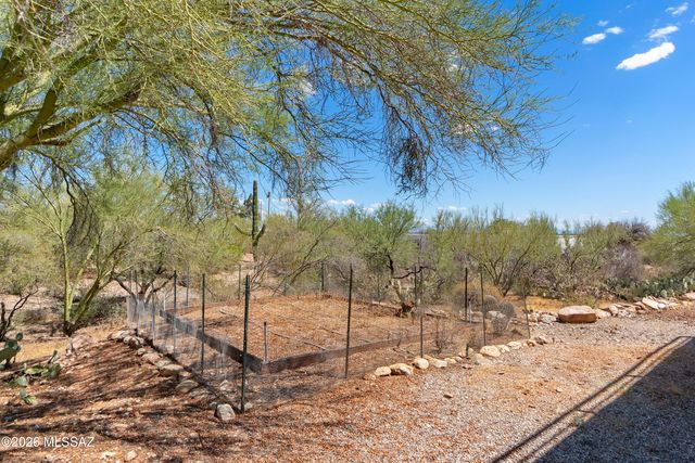 4310 N Camino Arco, Tucson, AZ 85718