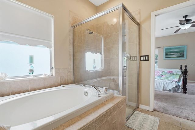 23908 HASTINGS WAY, Land O Lakes, FL 34639