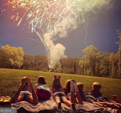 1050 County Line Road 10.75AC, Griffin, GA 30224