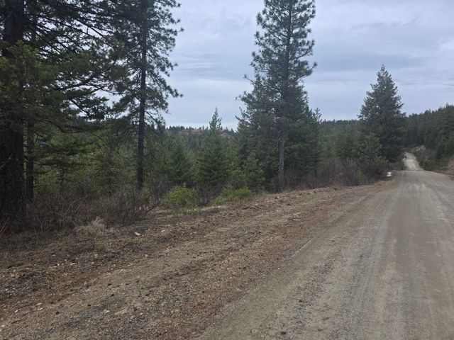 XX Blueridge Way, Deer Park, WA 99006