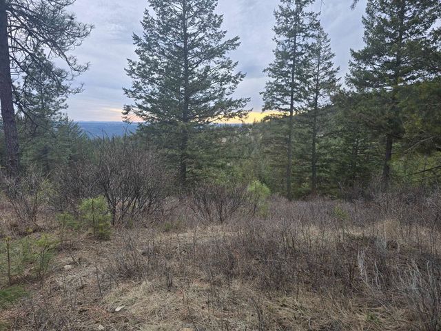 XX Blueridge Way, Deer Park, WA 99006