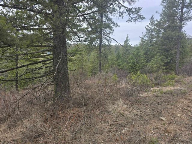 XX Blueridge Way, Deer Park, WA 99006