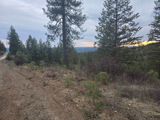 XX Blueridge Way, Deer Park, WA 99006