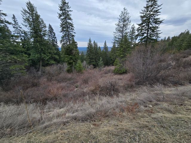 XX Blueridge Way, Deer Park, WA 99006