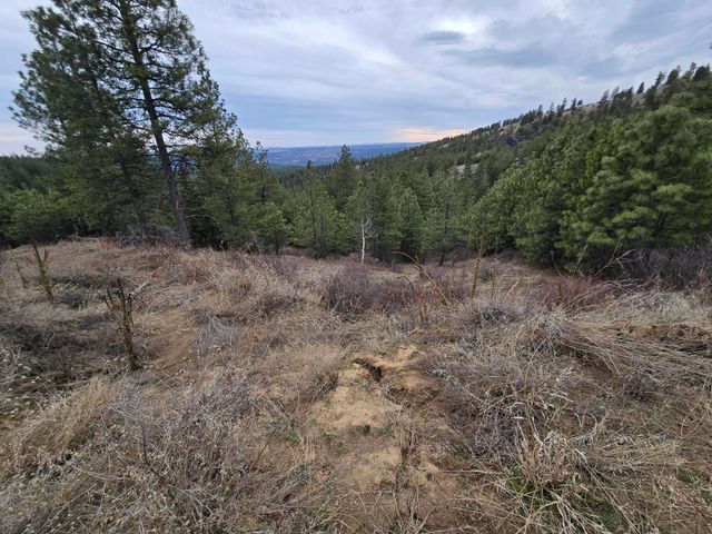 XX Blueridge Way, Deer Park, WA 99006