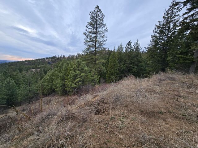 XX Blueridge Way, Deer Park, WA 99006