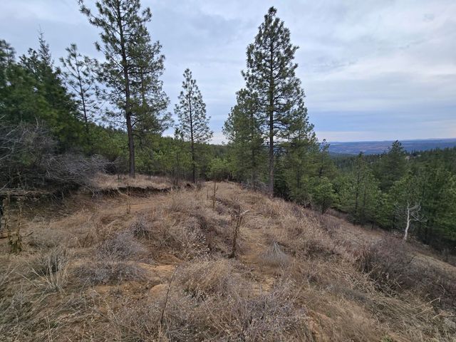 XX Blueridge Way, Deer Park, WA 99006