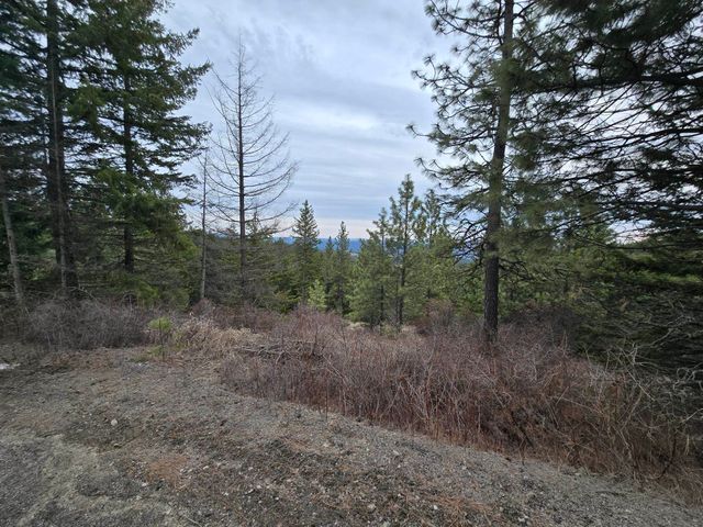 XX Blueridge Way, Deer Park, WA 99006