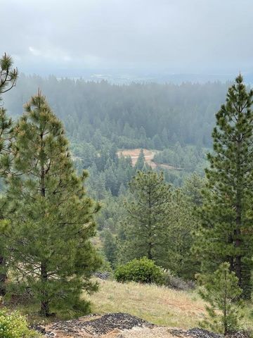 XX Blueridge Way, Deer Park, WA 99006