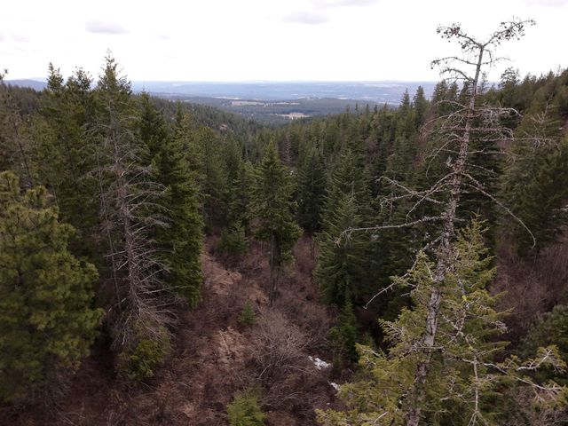 XX Blueridge Way, Deer Park, WA 99006