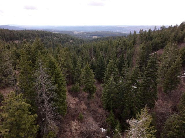 XX Blueridge Way, Deer Park, WA 99006