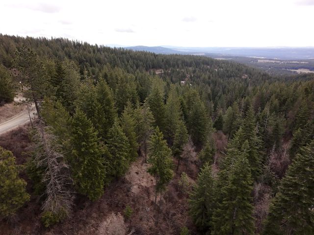 XX Blueridge Way, Deer Park, WA 99006