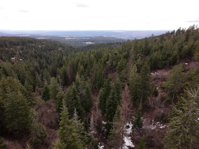 XX Blueridge Way, Deer Park, WA 99006